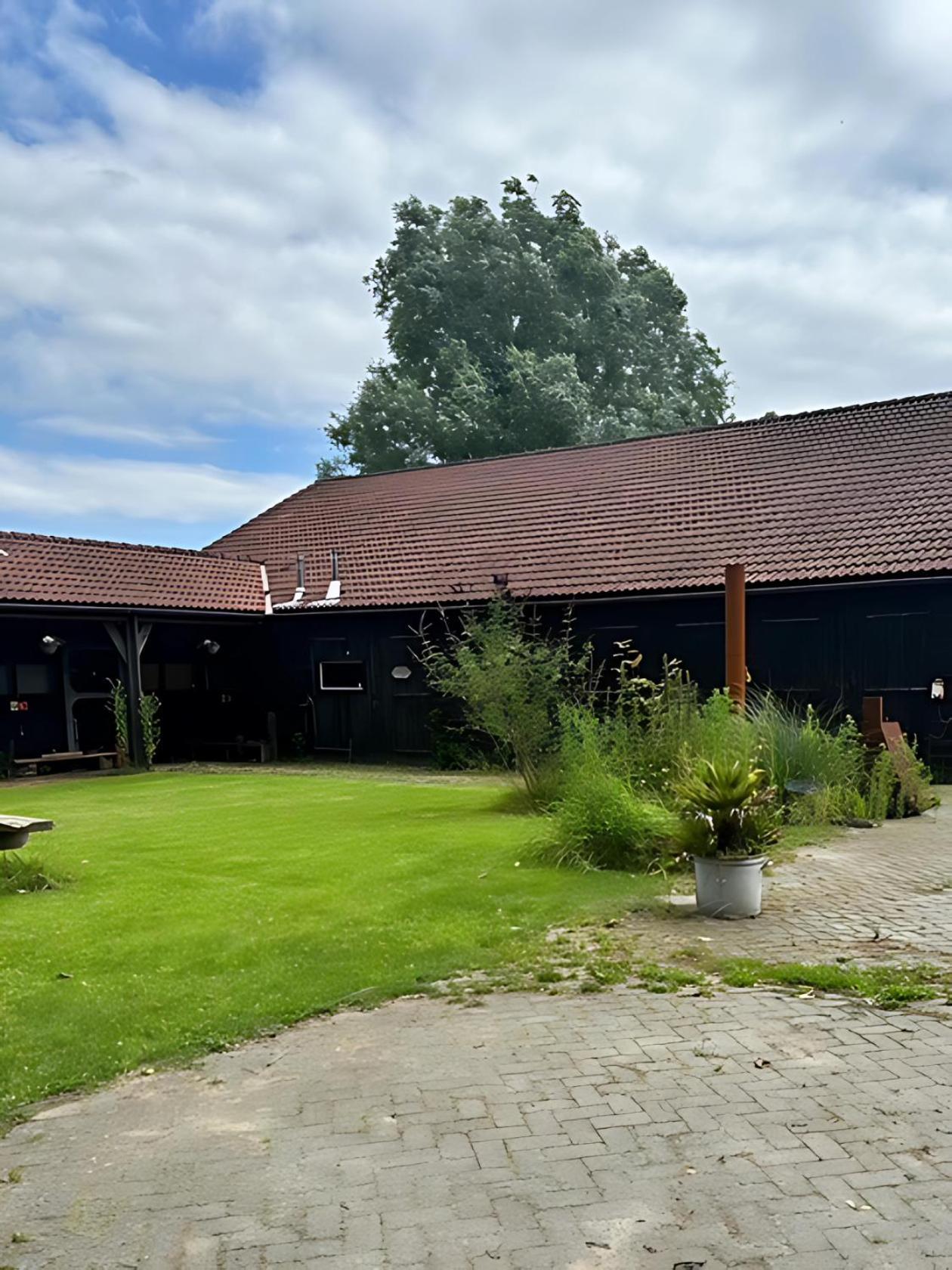 Back To Basic Hotel Zwaanshoek Exterior photo